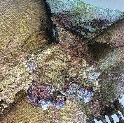 Interrupted 3D scan by artist Paul Coombs